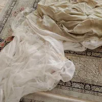 پشه بند