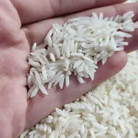 برنج هاشمی درشت اصیل