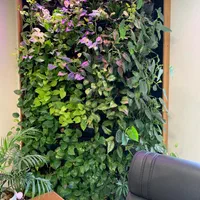 دیوارسبز، دیوار سبز، گرین وال