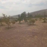 فروش باغ شهری