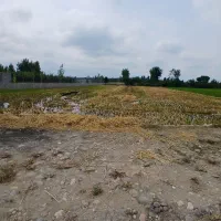 فروش شالیزار.روستای انارستان