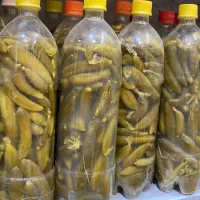 خیارشور