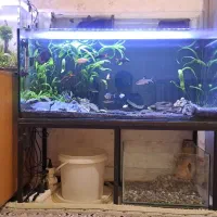 آکواریوم ریملس 90*40*40 به همراه پایه