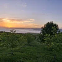 زمین مسکونی روستای زیبای پیته نو با چشم انداز ابدی
