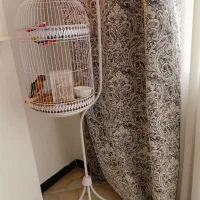 قفس پابه دار