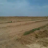 زمین مناسب ساخت سوله،سردخانه/سند شش دانگ محصری