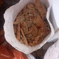 نان خشک|لوازم جانبی حیوانات|چناران, |دیوار