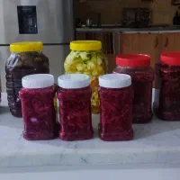 انواع ترشیجات خونگی خوشمزه خوش طعم.