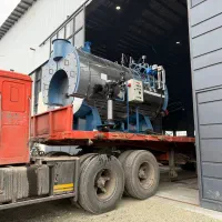 دیگ بخار سه تن مناسب سالن های پرورش قارچ