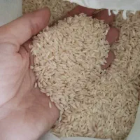 فروش برنج عنبر درجه یک بو به قیمت عمده