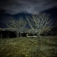 کشاورز زمین باغی