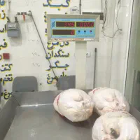 نیازمند نیرو مرغ و گوشت