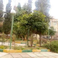 نیروی خدمات