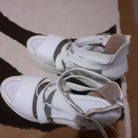 کفش مجلسی