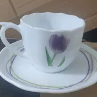 فنجان آرکوپال