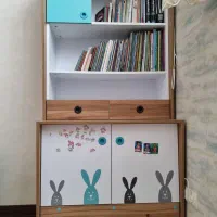 کتابخانه و ویترین و شلف کودک