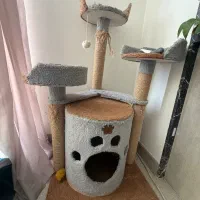 خانه گربه