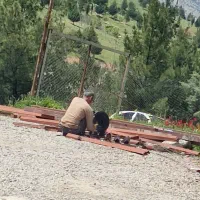 نیازمند آشپز خانگی
