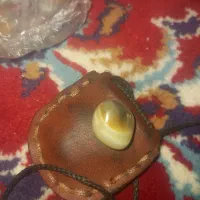 مهره برد اصلی