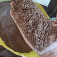 خوراک دام پودر خرما