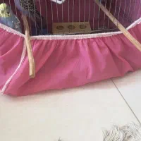 چهار عدد مرغ عشق ماده
