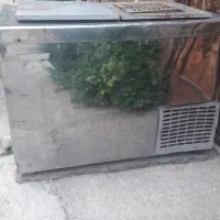 یخچال بستنی زاگرس ۴در