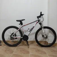 دوچرخه حرفه ای