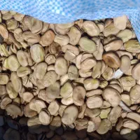 باقله درجه یک