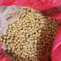 نخود سفید درجه ۱