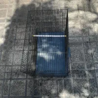 قفس