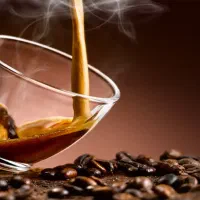 سالن کار و نیروی آشپزخانه