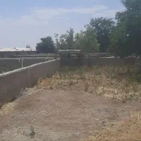 شراکت در دامداری