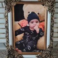 اثرهنرماندگاردستورتصویرشمادرتاروپودقالی/فرش هدیه
