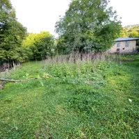 فروش فوری زمین مسکونی روستای چروده