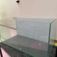 اکواریوم APA