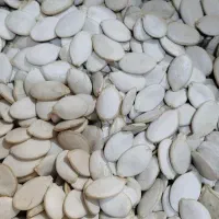 بذر کدو درشت