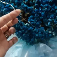 دو دسته گل بزرگ و بلند