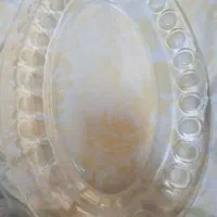 دیس برنج خوری شستی