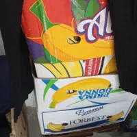 کارتن موز نو