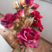 تعدادی گل