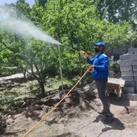 سمپاشی باغبانی و گلکاری آپارتمان هرس کاری