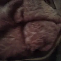 پتو دونفره مارک شادیلون