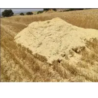 کاه گندم و جو