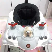 روروعک بچه