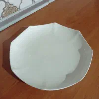 ظروف سرامیکی