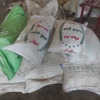 برنج دمسیاه پشت دستگاه