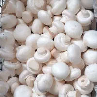 فروش قارج خورده و کلی