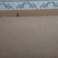تخته نئوپان