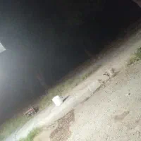 به یک خانم جهت کار در سلف نیازمندم