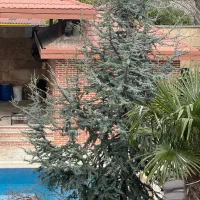 استخدام خانم جهت امور منزل شبانه روزی